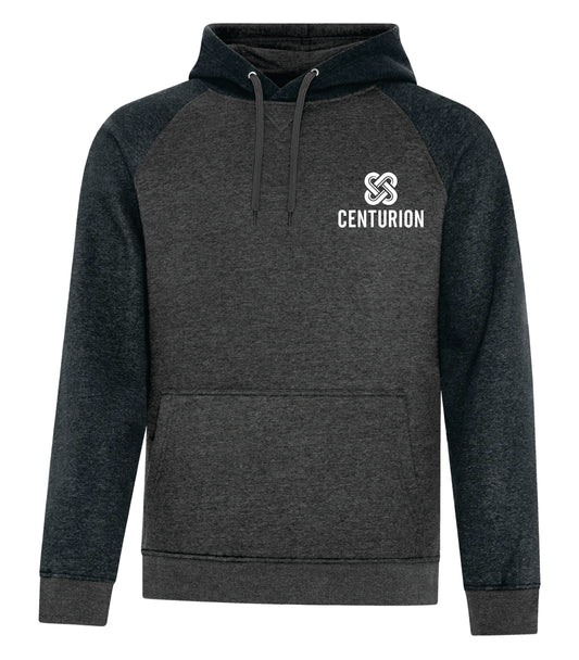 VINTAGE HOODED SWEATSHIRT - F2044 & F2045 - CENTURION LOGO - EMB