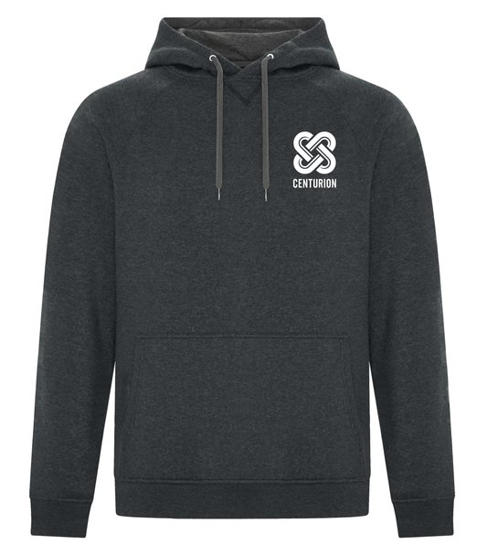 UNISEX VINTAGE HOODED SWEATSHIRT - F2045 - CENTURION - EMB or HP